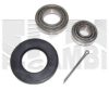 CALIBER RC4450 Wheel Bearing Kit